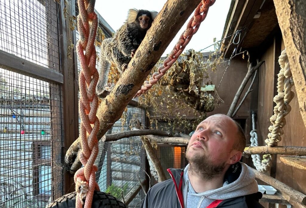nternational primate sanctuary, Monkey World – Ape Rescue Centre have added their 81st marmoset to the huge number rescued from the home-grown UK pet trade problem, with the rescue of Kush, an 8-year-old female common marmoset, in Bristol on 30th January 2024.