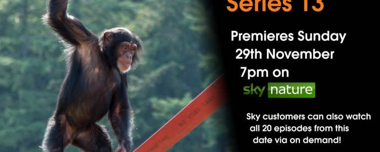 Monkey Life Series 13 has hit our screens!