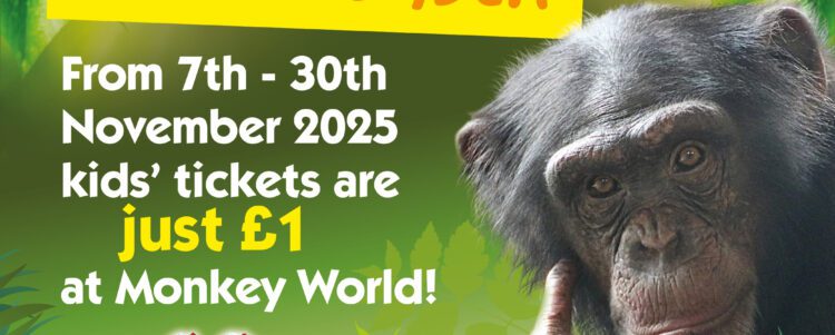 Kid 4 a Quid returns this November at Monkey World!