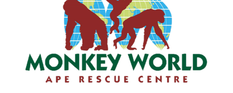 Monkey World Re-opening!