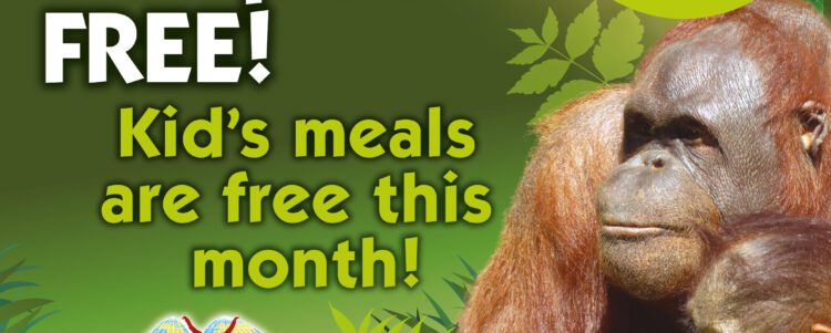 Feed Your Troop for Free this December at Monkey World!